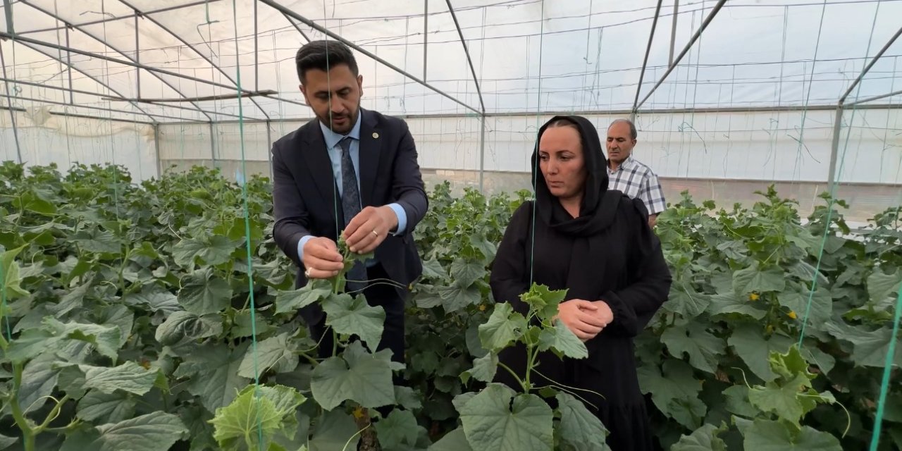 Irak’tan Yüksekova’ya uzanan başarı öyküsü