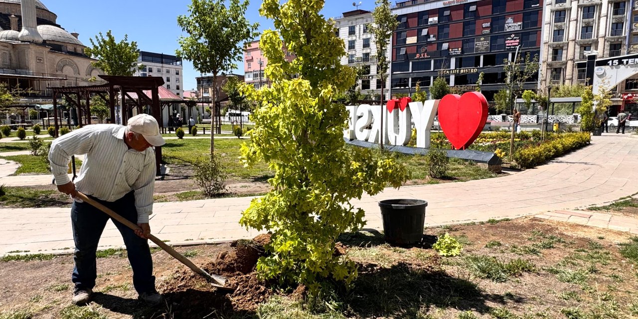 15 Temmuz Parkı’nda fidan dikimi ve bakım çalışması