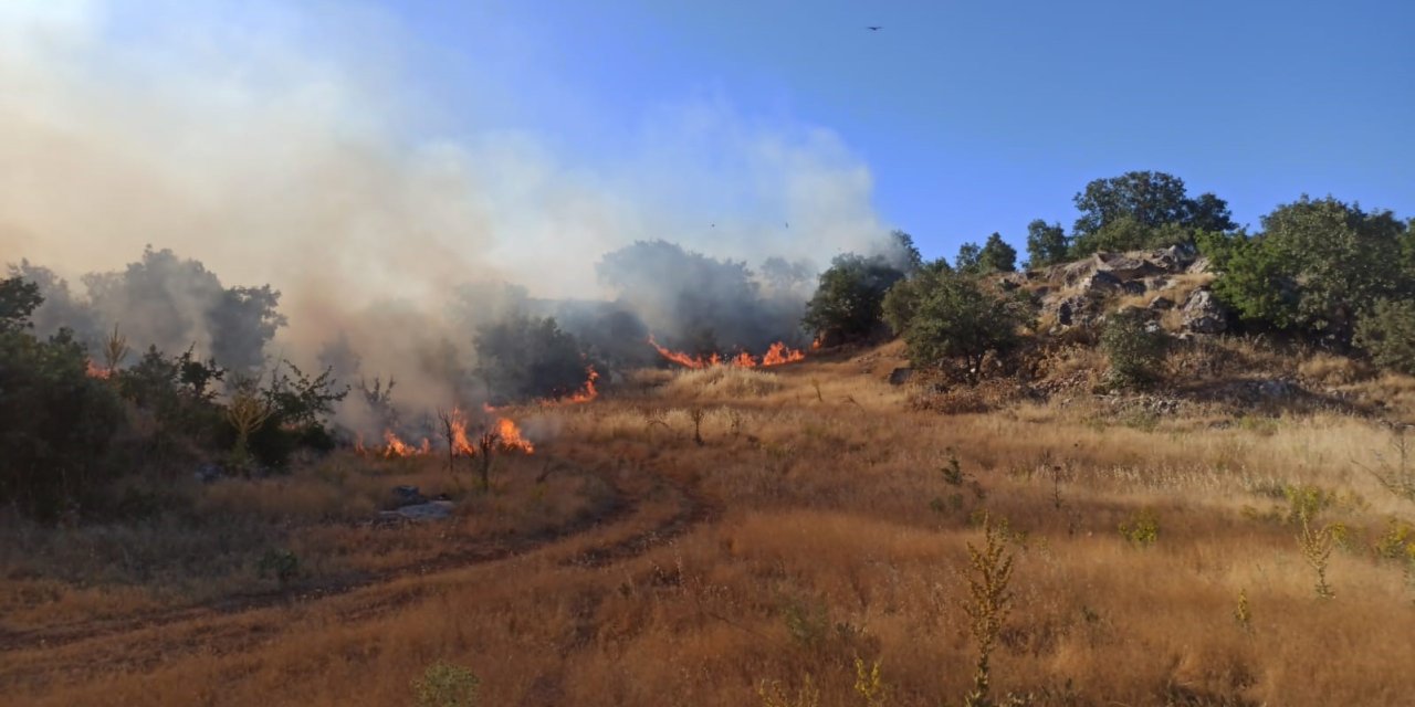 Adıyaman’da orman yangını