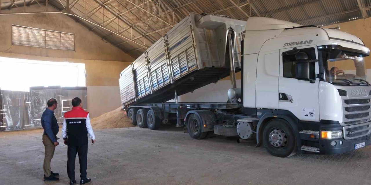 Erzincan’da hububatta ilk hasat