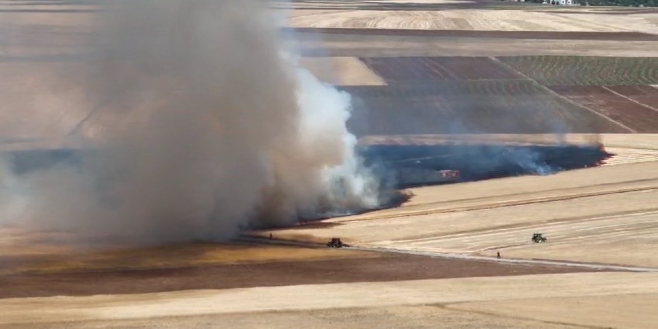 Elazığ’da ekili alanlar kül oldu