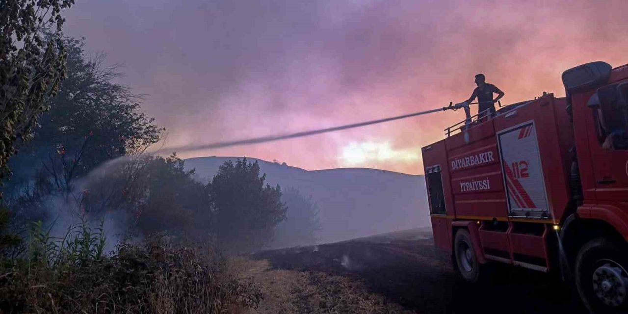 Diyarbakır’daki anız ve orman yangınları kontrol altına alındı