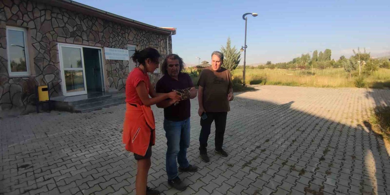 İtalya’dan Van’a geldiler, doğaya kuş saldılar