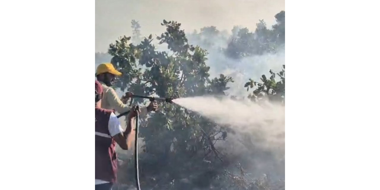 Siirt’te çıkan örtü yangını kontrol altına alındı