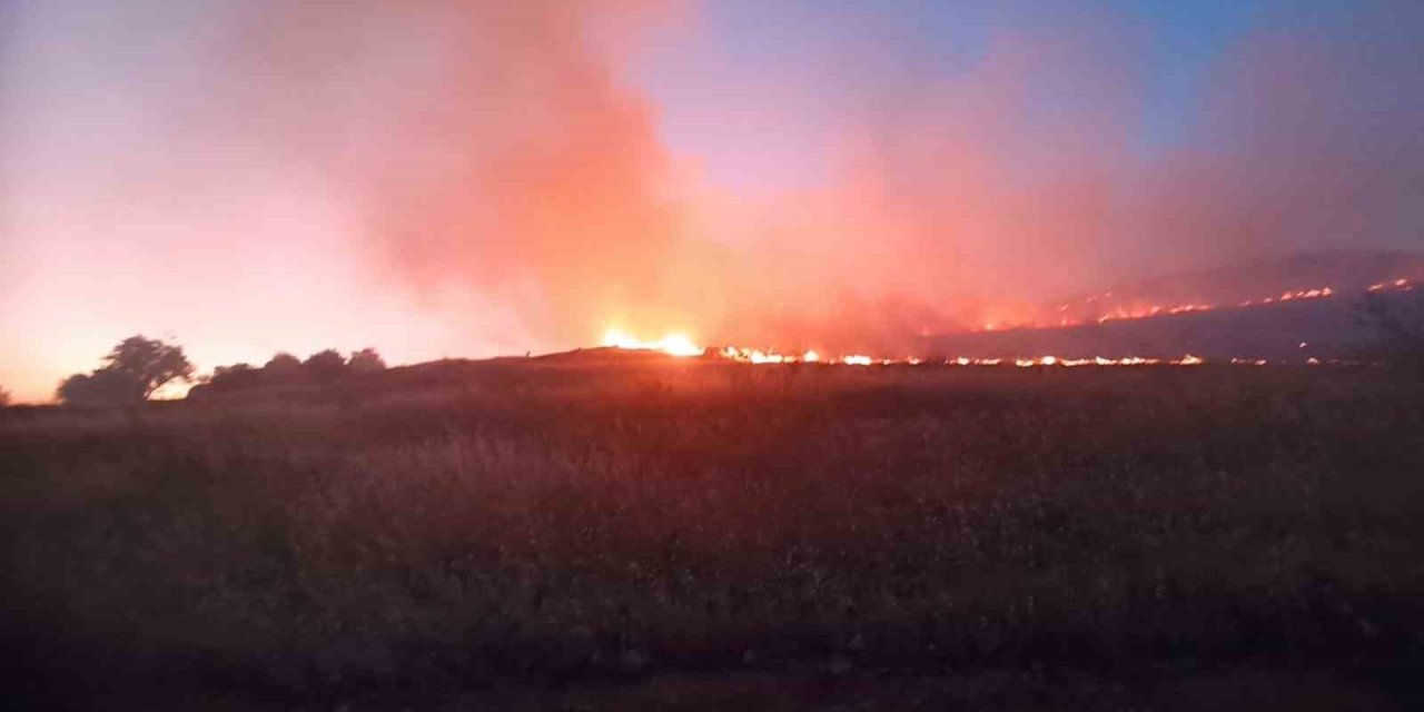 Mardin’de dağlık alanda çıkan yangın söndürüldü