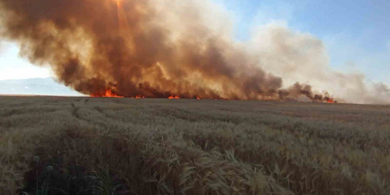 Bingöl’de onlarca dönüm ekili arazi kül oldu