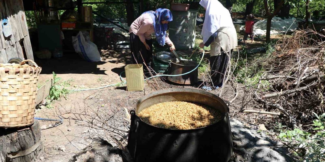 Erzincan'da geleneksel yöntemlerle pekmez yapımı