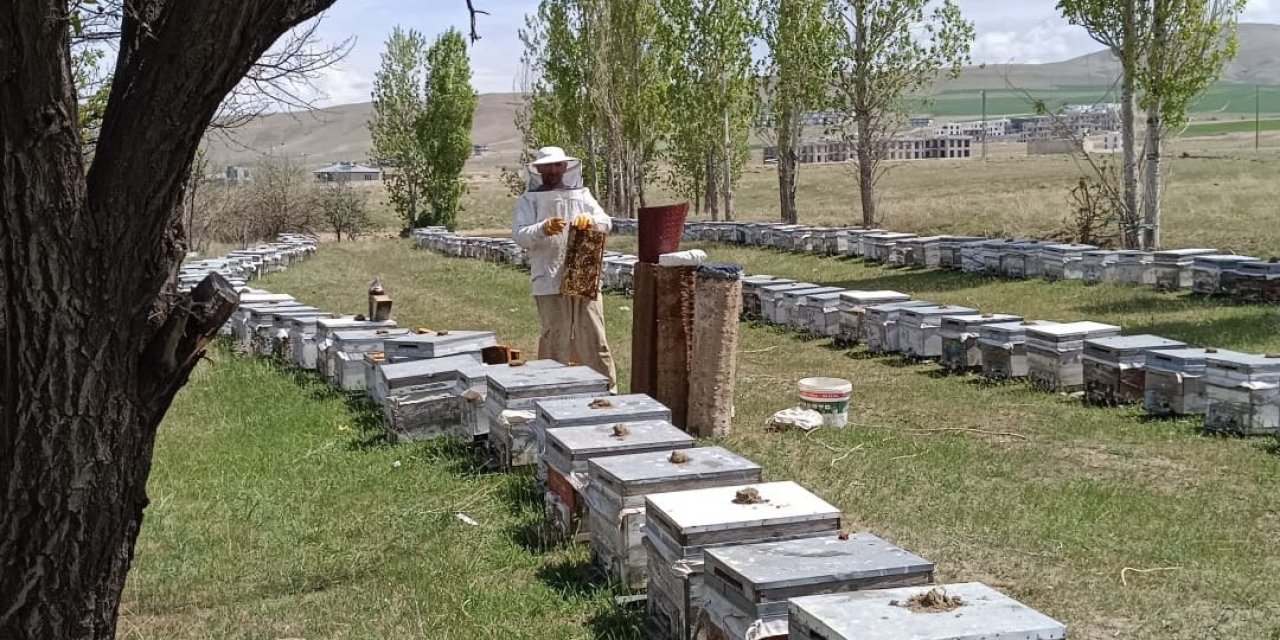 Hakkâri’de kırsal kalkınma için 38 milyon TL'lik hibe desteği
