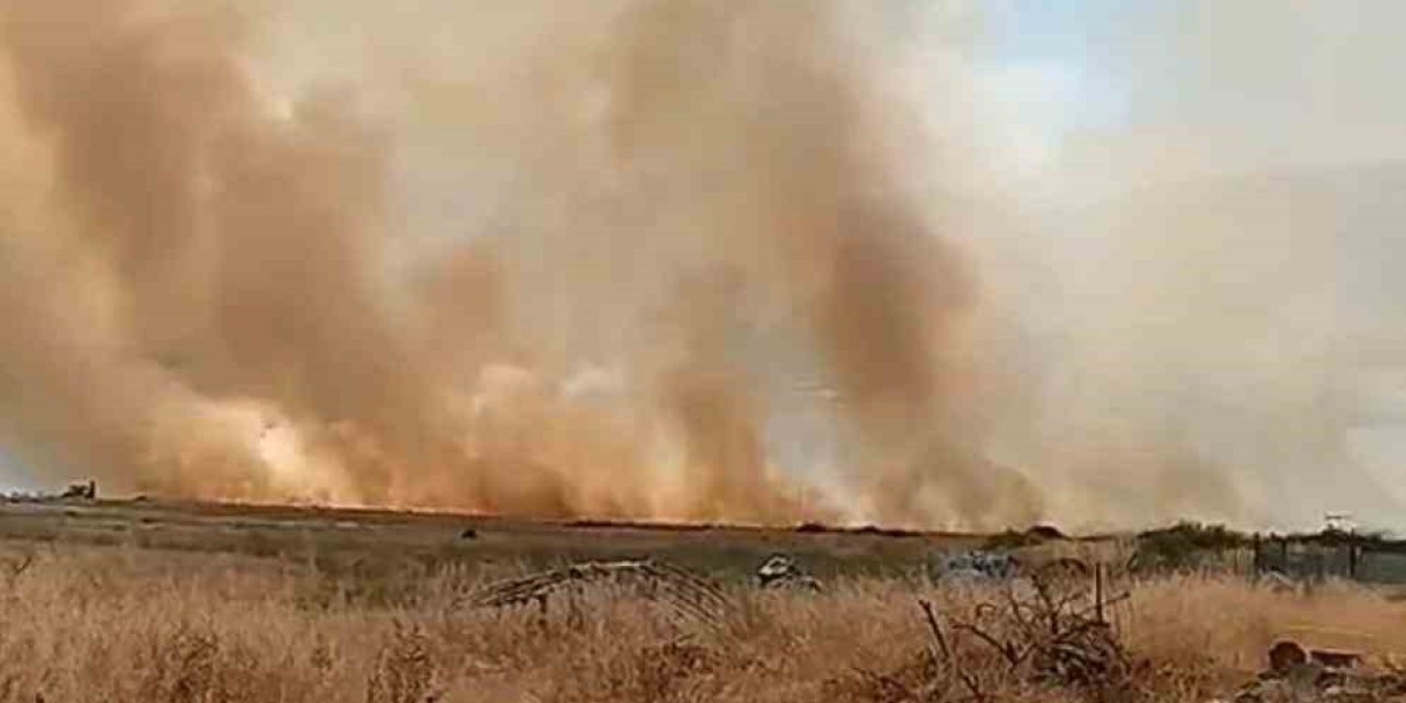 Baskil'de otluk alanda çıkan yangın korkuttu