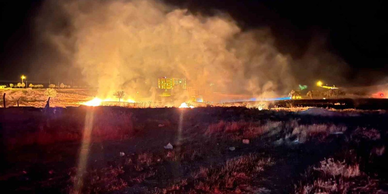 Anız yangınında ağaçlar, direkler ve kablolar zarar gördü