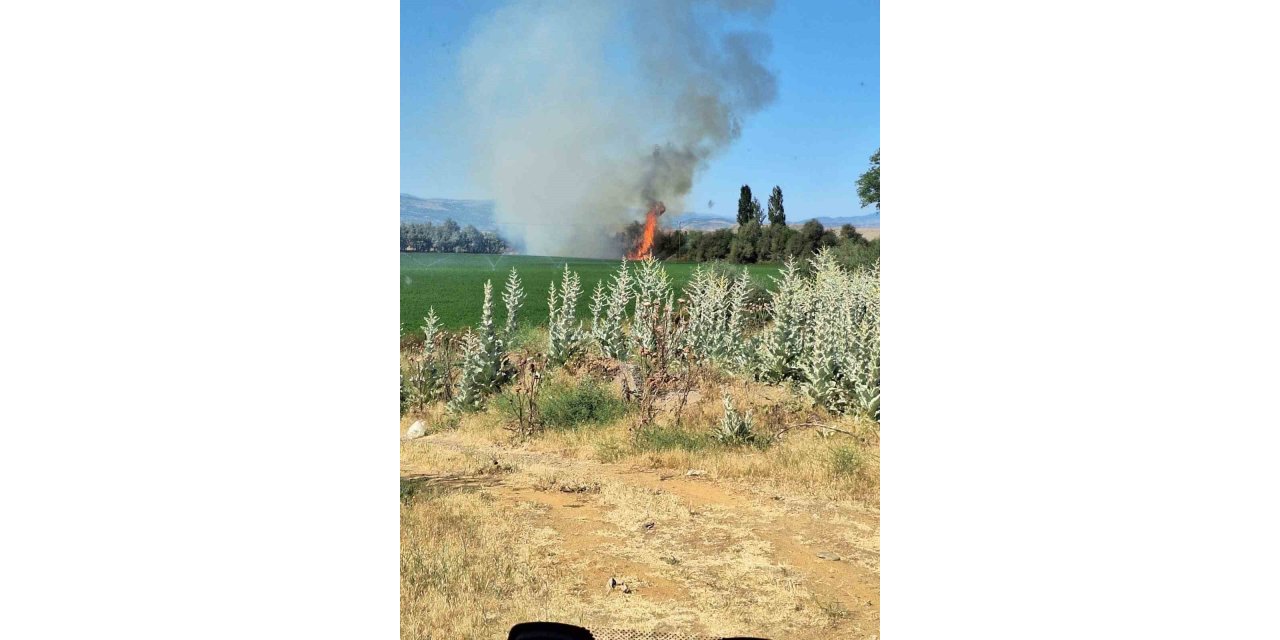 Genç'te ağaçlık alanda korkutan yangın