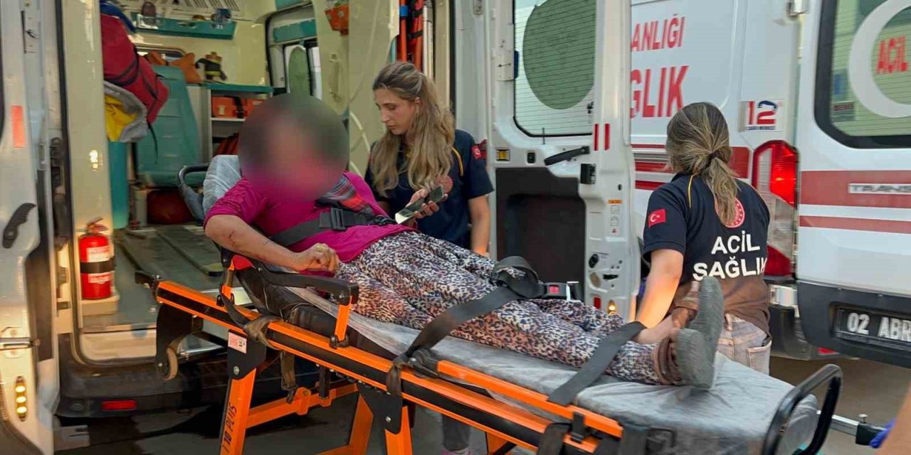 Adıyaman'da taşlı saldırıya uğrayan kadın yaralandı