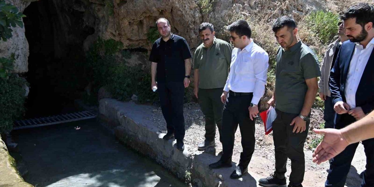 Derik Kaymakamı Bayraklı, zeytinliklerde yürütülen çalışmalarını yerinde inceledi