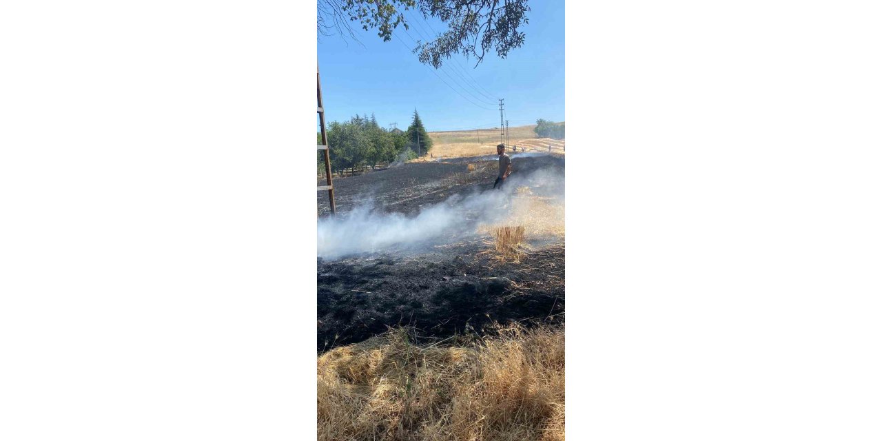 Elazığ’da yangın: Ekili alan kül oldu