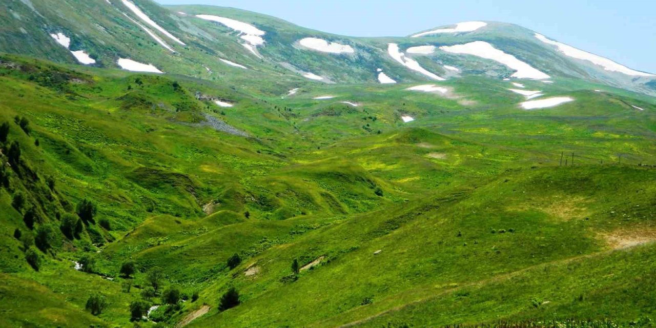 Posof’ta yayla mevsimi start verdi