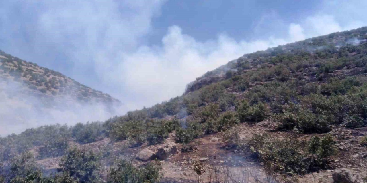 Mardin’de ormanlık alanda çıkan yangına müdahale sürüyor