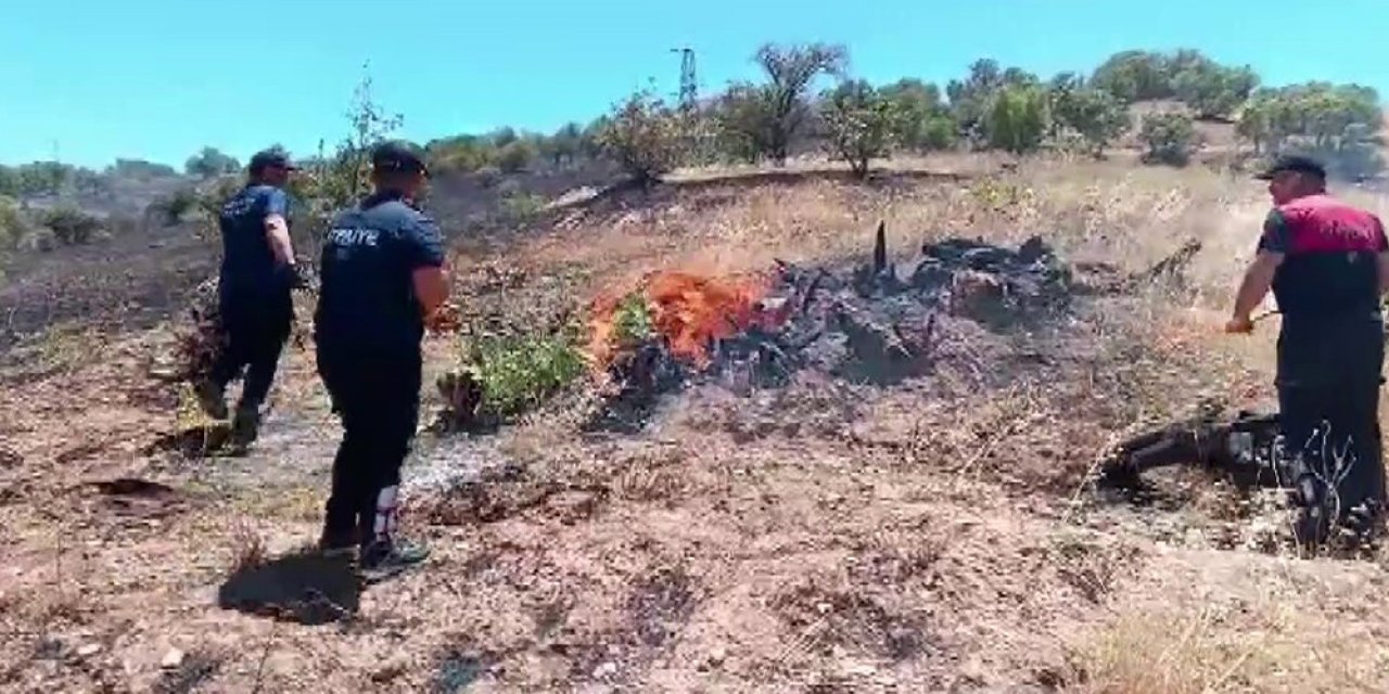 Adıyaman'da anız yangını ormanlık alana sıçradı