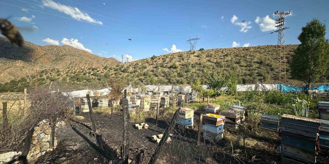 Oltu’da yangında 30 arı kovanı telef oldu