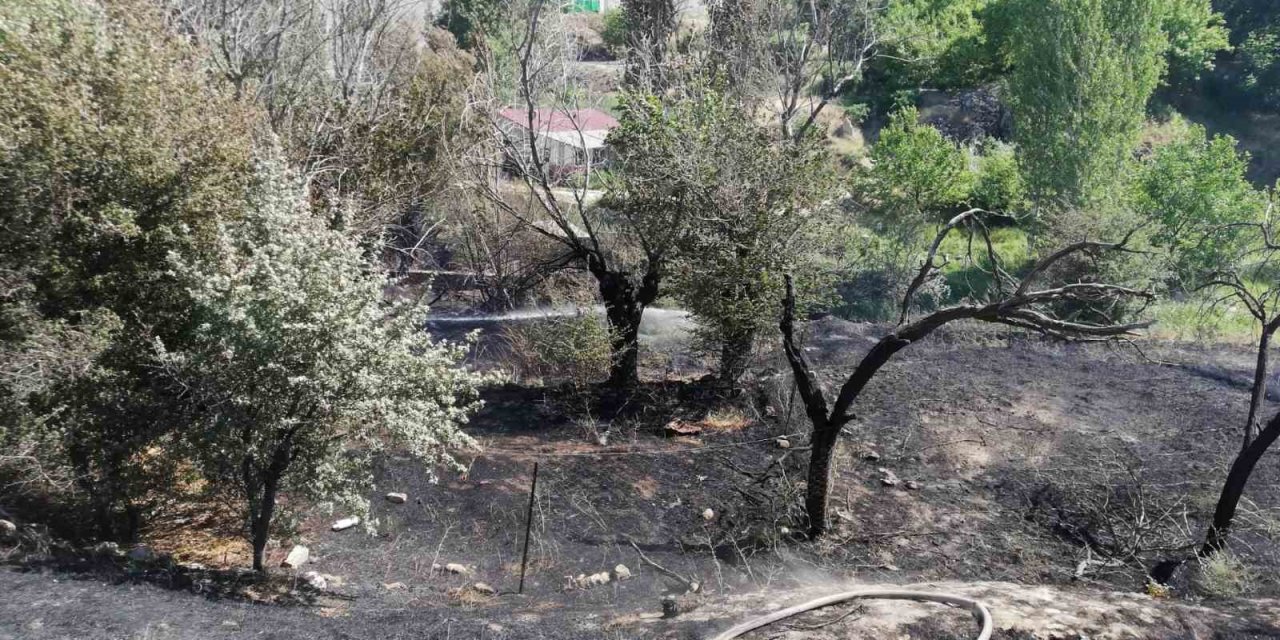 Malatya’da ot yangını çıktı