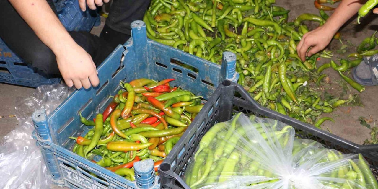 Diyarbakır’da sıcak hava sebze ve meyveleri olumsuz etkiledi