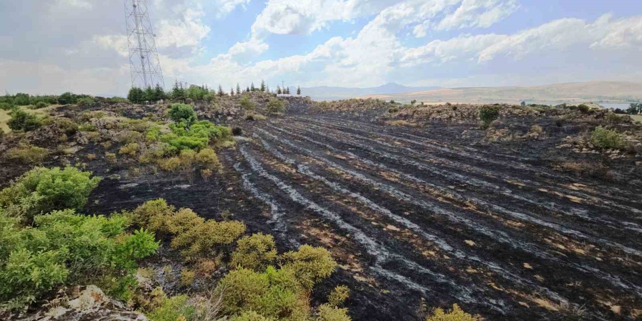 Tatvan’da çıkan yangında 50 dönümlük alan kül oldu