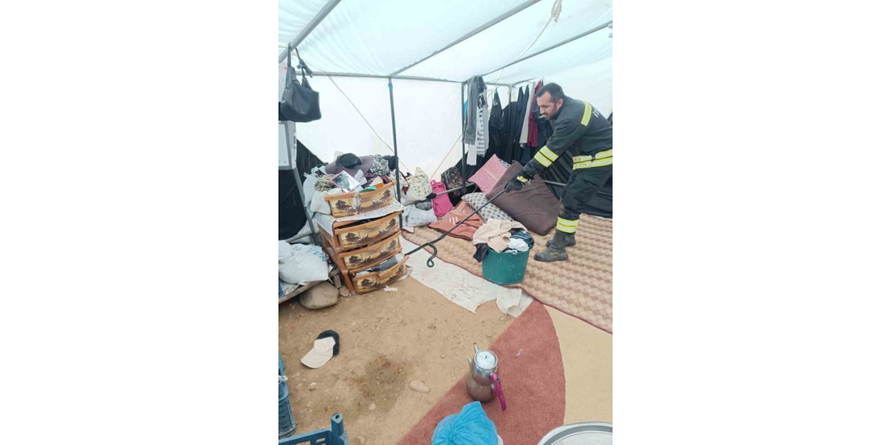 Çadıra giren yılan paniğe neden oldu