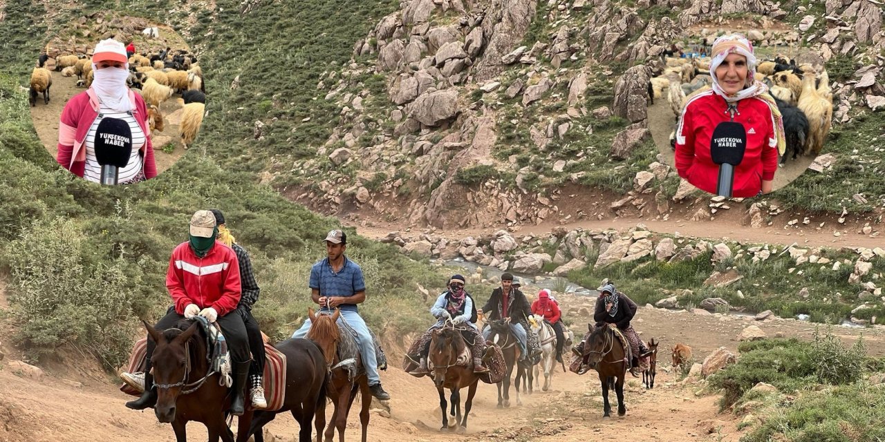 Yüksekova’da berivanların zorlu yayla yolculuğu: “Yollarımız çok kötü, atlarla gelip gidiyoruz”