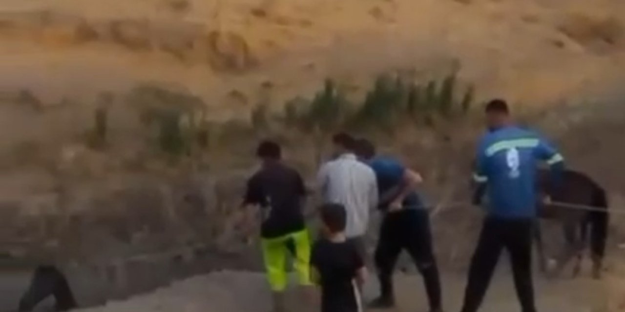 Siirt'te çamura saplanan atı köylüler kurtardı