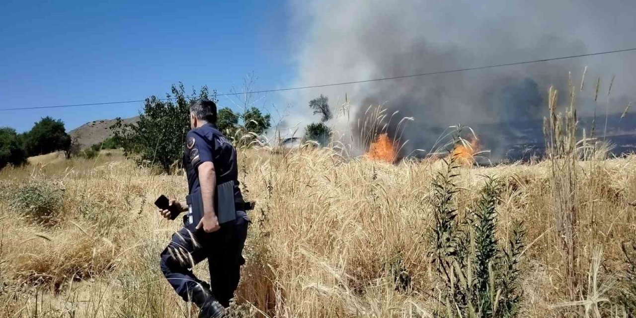 Elazığ’da korkutan yangın: Onlarca dönümlük alan küle döndü