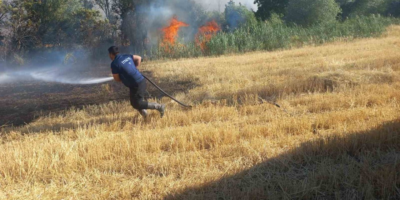 Balya makinesinden çıkan kıvılcım 200 dönümü küle çevirdi