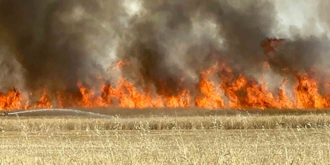 Elazığ’da arazi yangını: Ekili alanlar da kül oldu