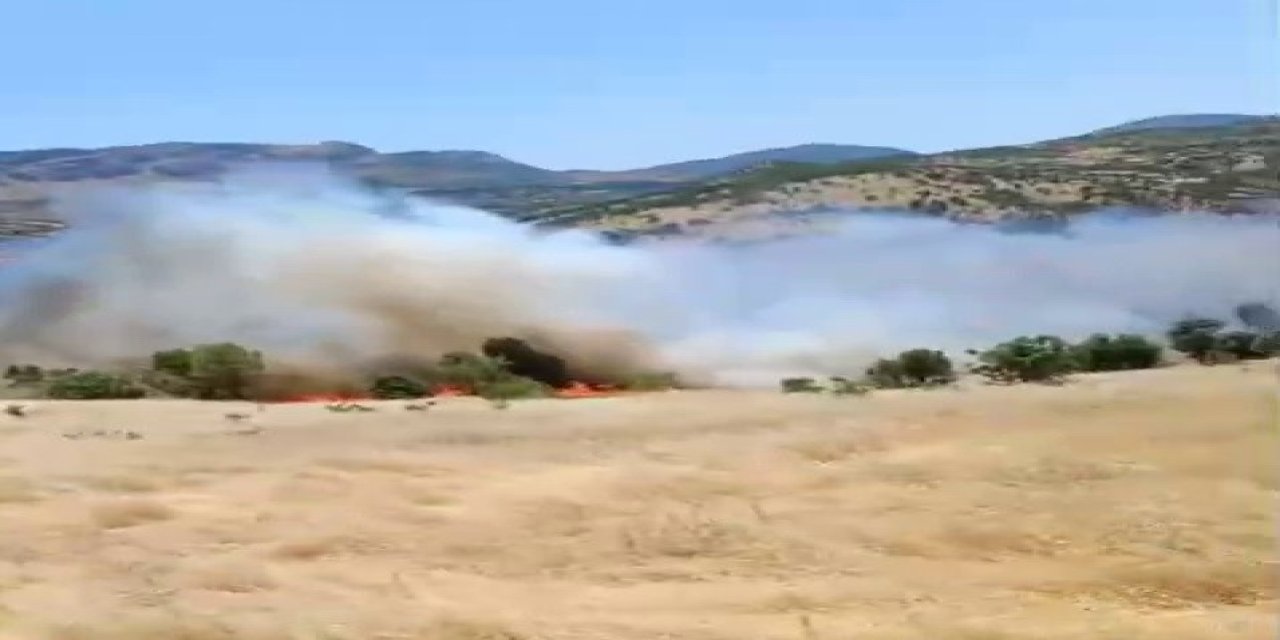 Gerger’de orman yangını korkuttu