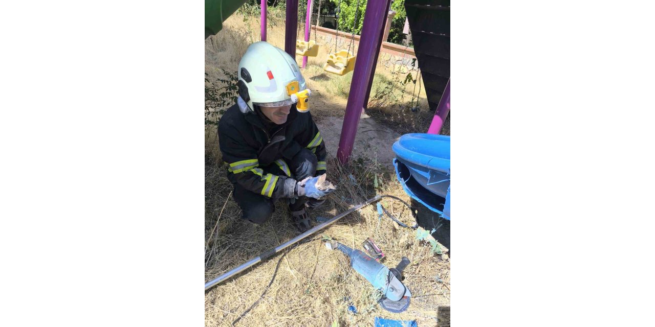 Batman’da kaydırağa sıkışan kedi kurtarıldı