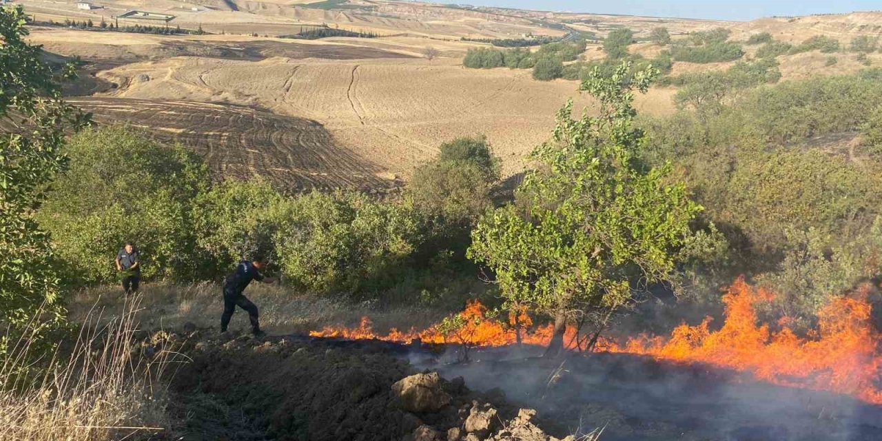 Adıyaman'da anız yangını bahçelere sıçradı