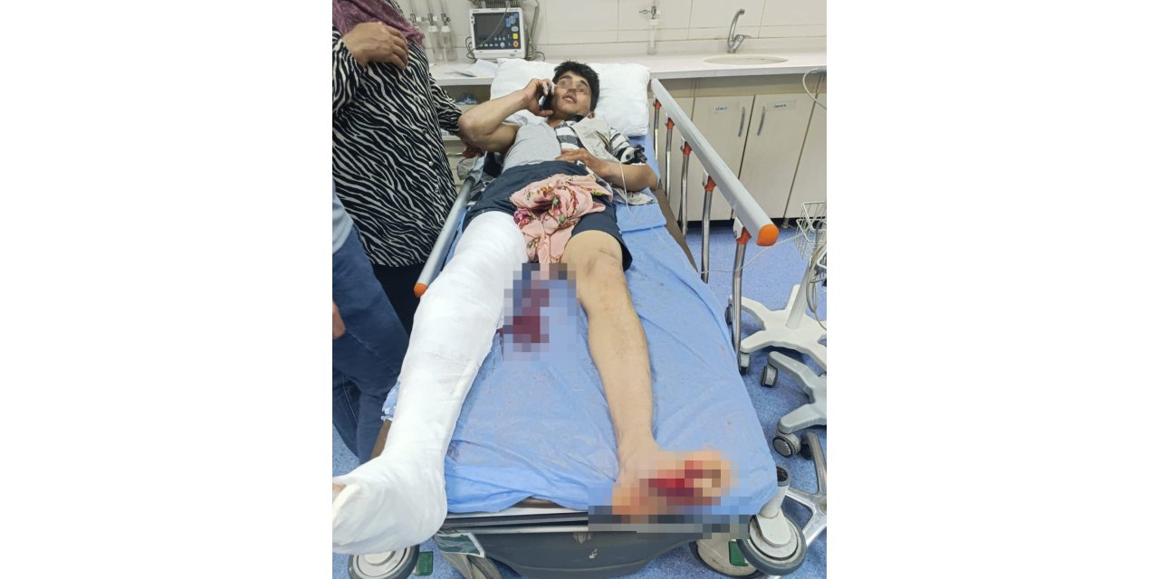 Muş’ta ayı saldırısına uğrayan çocuk yaralandı