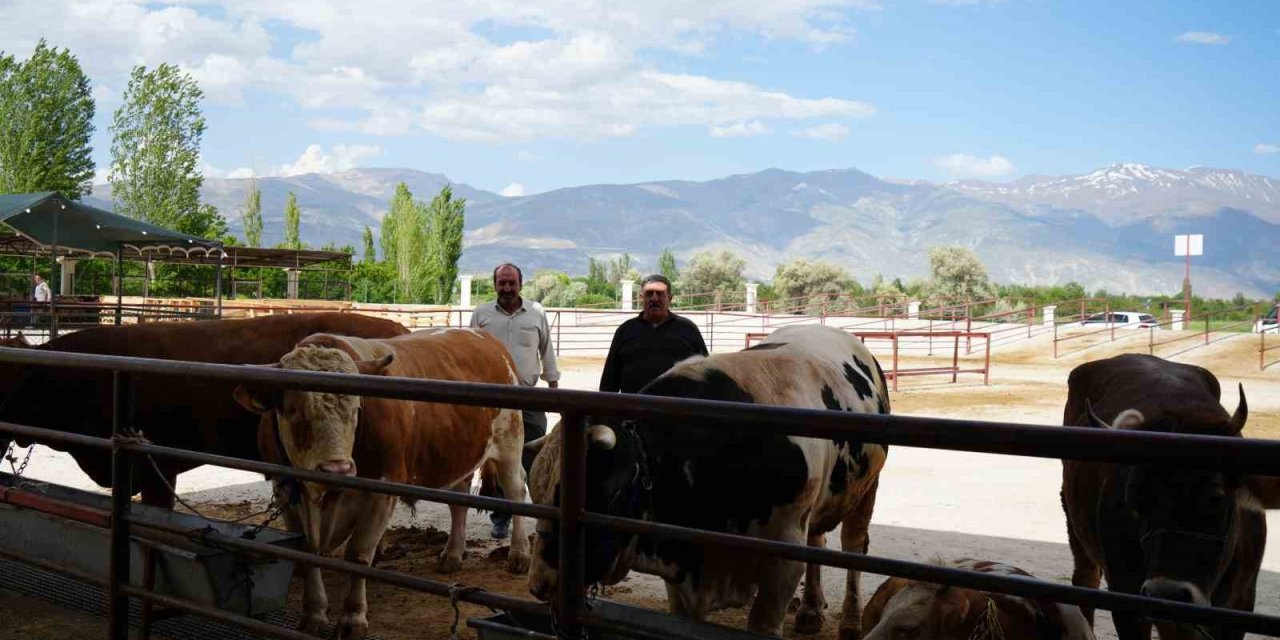 Erzincan'da hayvan pazarı geçici süreyle kapatıldı