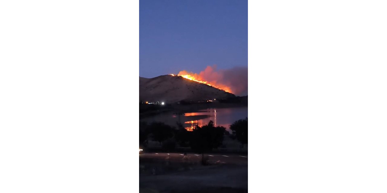 Elazığ’daki örtü yangını kontrol altına alındı