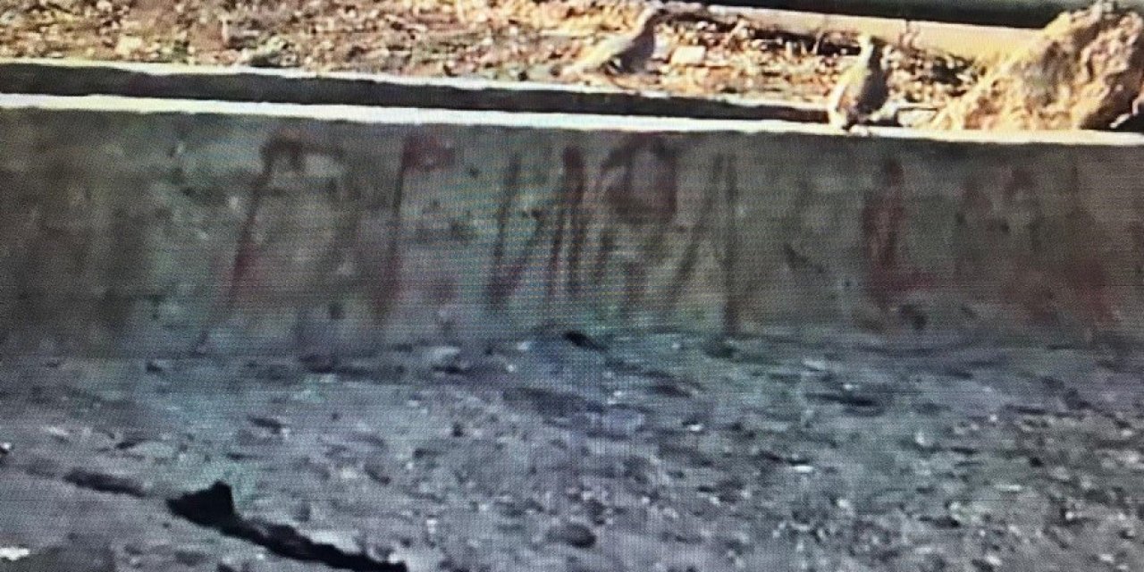 Batman'da yaban hayvanlarına can suyu