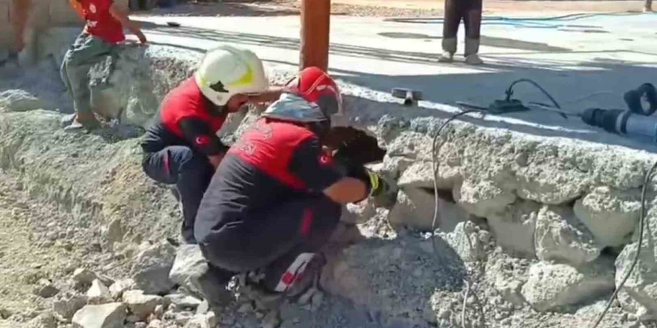 Şanlıurfa’da betonun altında mahsur kalan 2 kediyi itfaiye ekipleri kurtardı