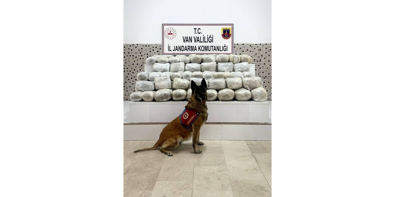 Van’da 97 kilo skunk ele geçirildi