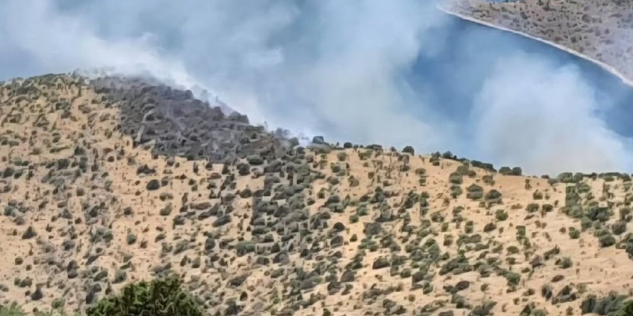 Gevaş'ta orman yangını: Ekipler zorlu arazide yürüyerek gitmeye çalışıyor