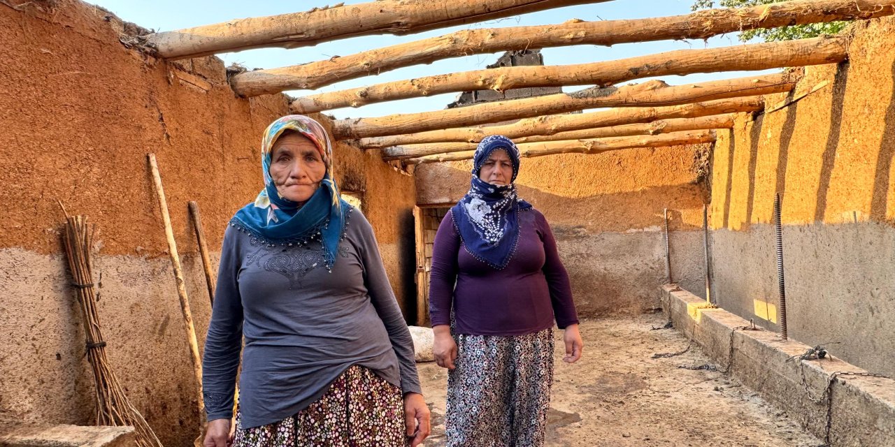 Yüksekova’da ahırda çıkan yangının ardından: İki kadın hayvanları için geceleri nöbet tutuyor