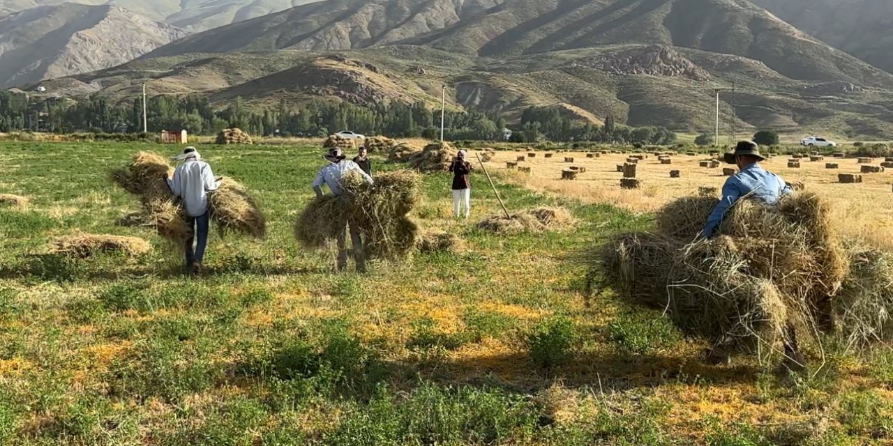 Kızgın güneş altında ekmek mücadelesi