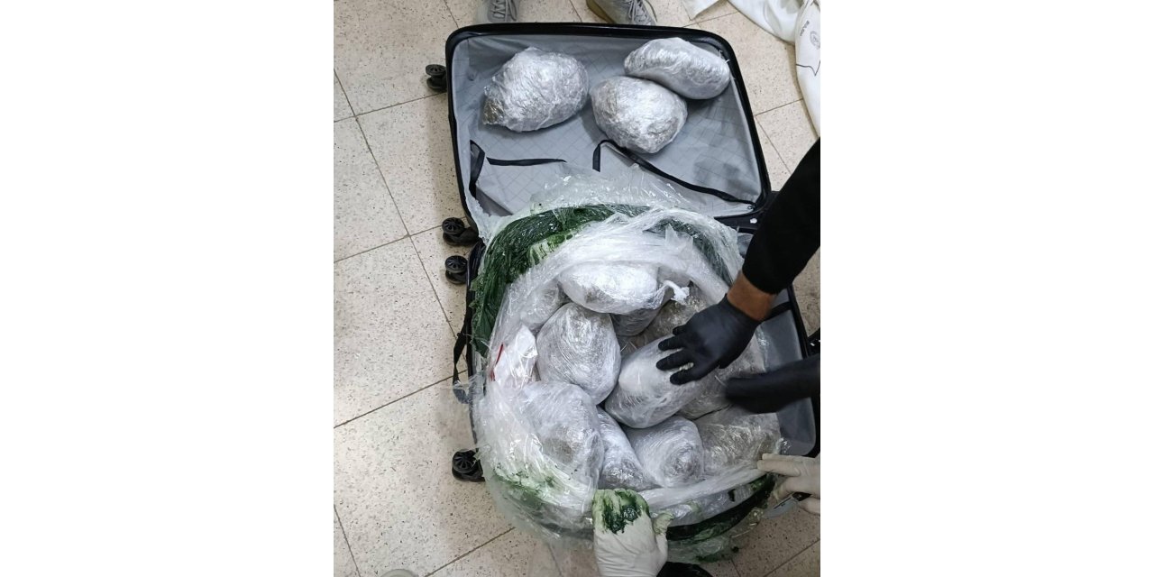 Bingöl’de 49 kilo esrar ele geçirildi