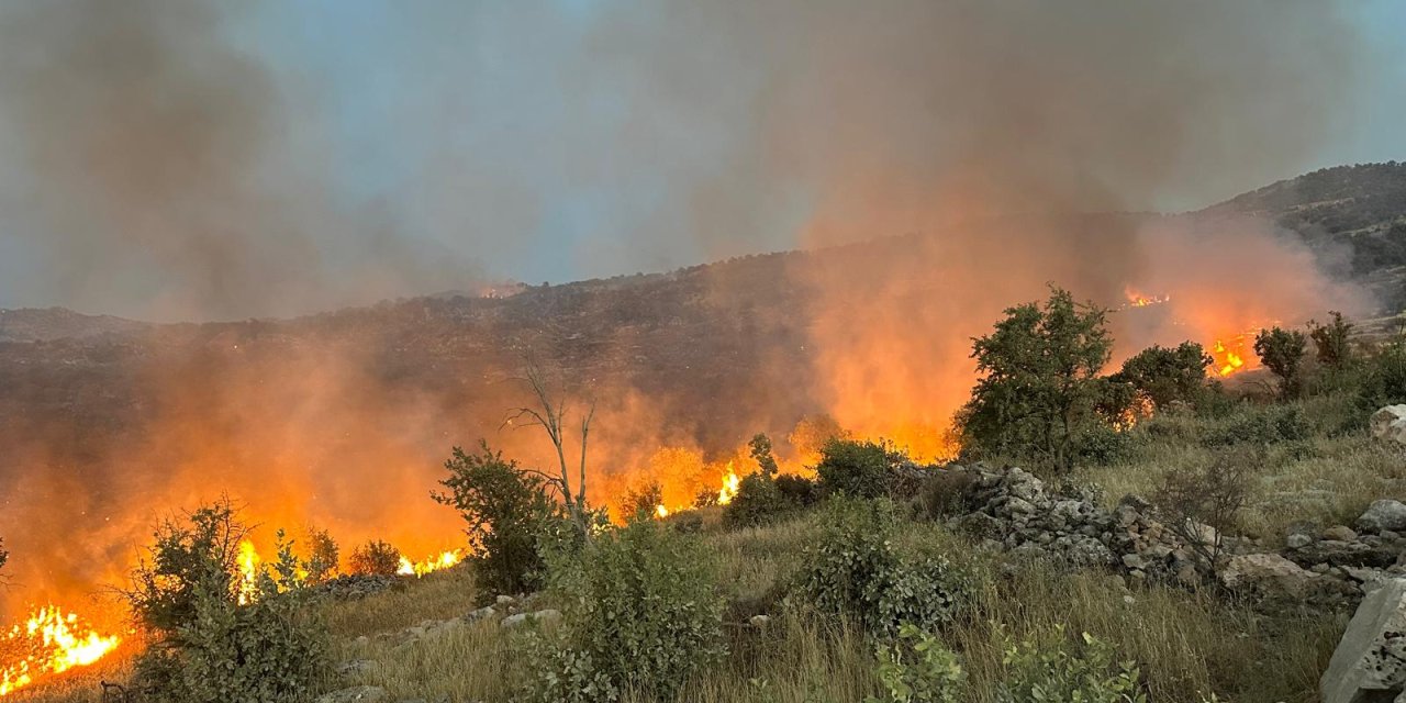 Gabar Dağı'ndaki orman yangını 11 saatte söndürüldü