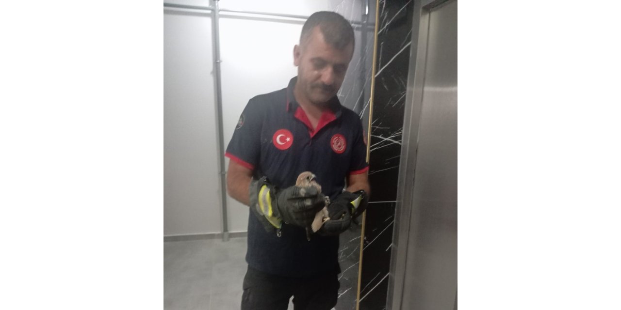 Balkon korkuluğuna sıkışan atmaca  kurtarıldı