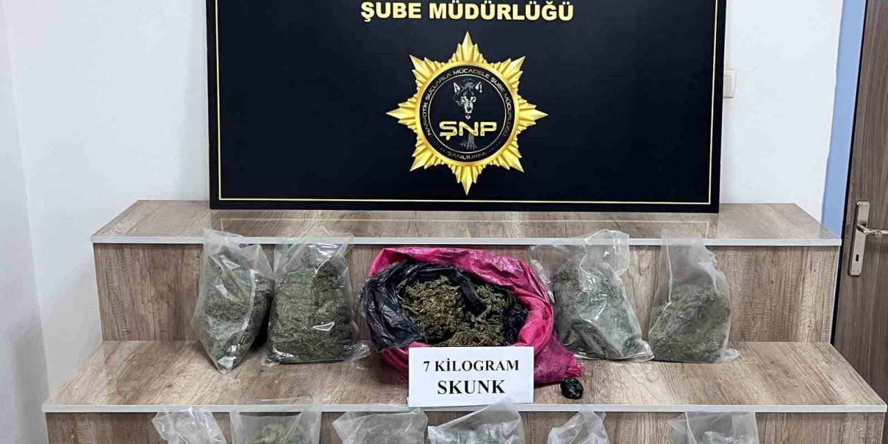 Siverek’te 7 kilo skunk ele geçirildi