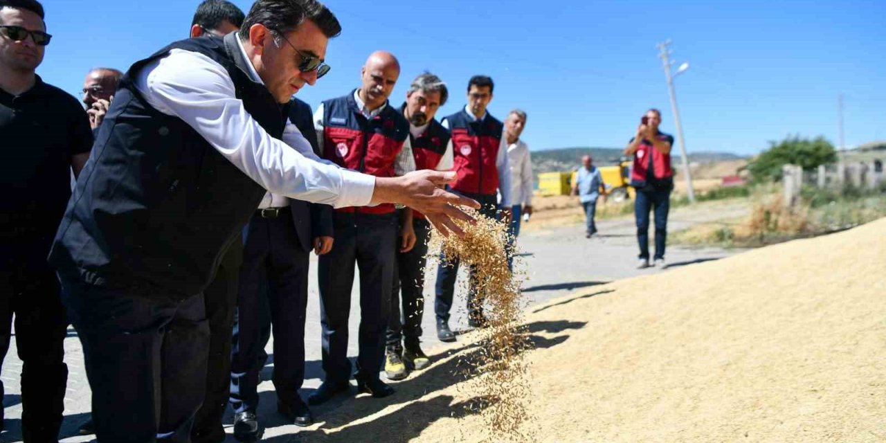 Tunceli Valisi Aygöl, hasat etkinliğinde