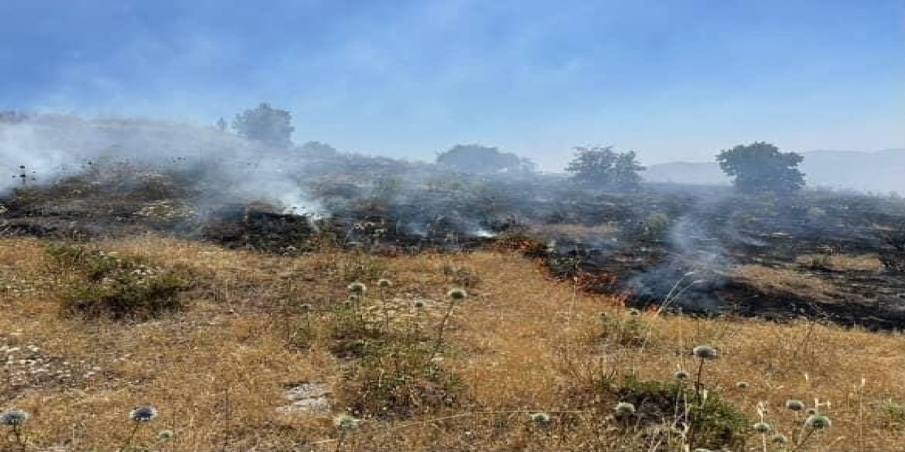 Elazığ’da otluk alanda çıkan yangın kontrol altına alındı