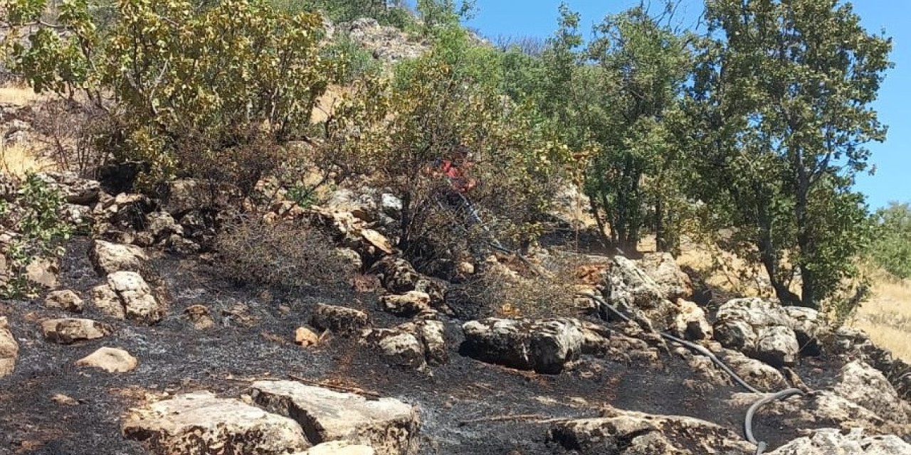 Gölbaşı’nda ormanlık alan kül oldu
